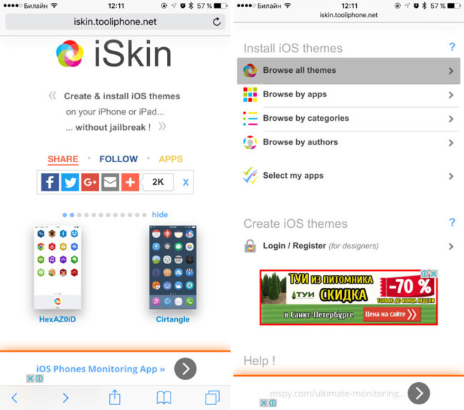 iOS Install a New Theme iSkin app