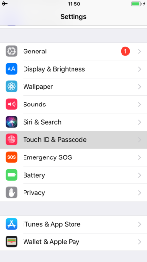 Passcode Touch ID Face ID ios data protection