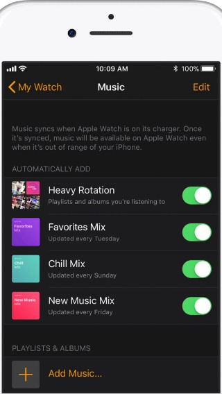 Apple Watch Music settings