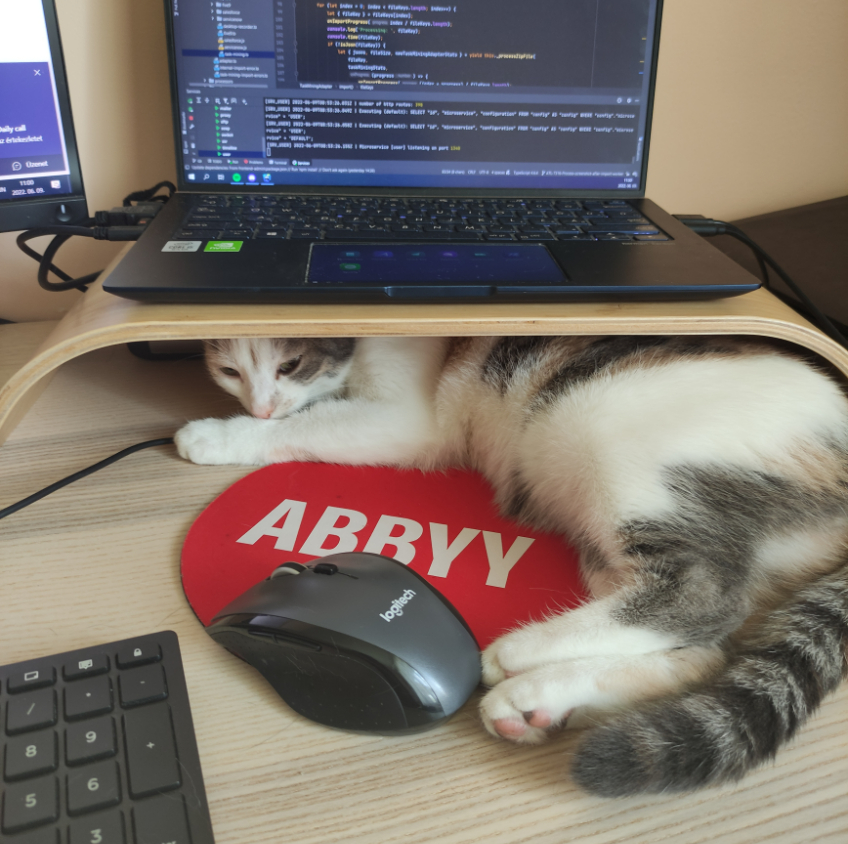 ABBYY engineer workspace with a cat on the desk